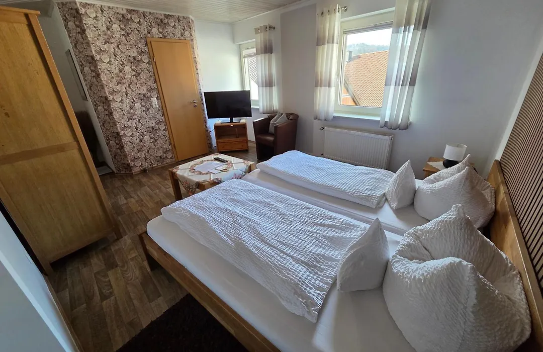 Pension Gisela-1